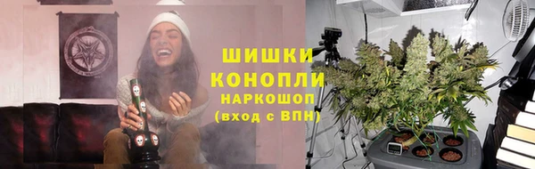 первитин Богородицк