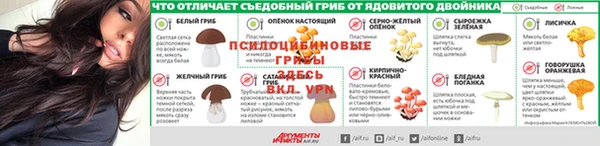 спиды Бородино