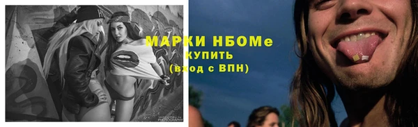 спиды Бородино